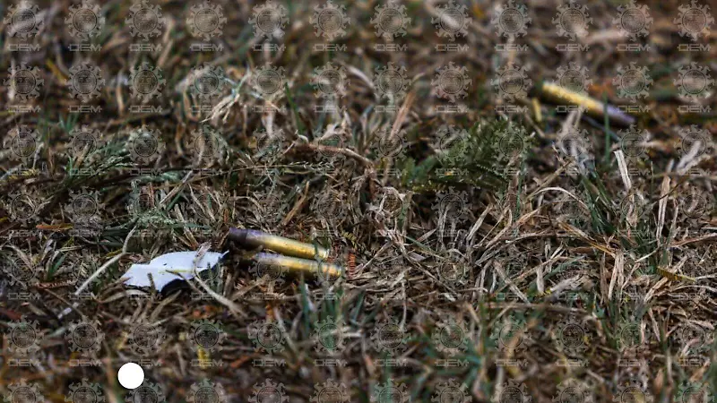 Francisco Rodríguez (3).jpeg